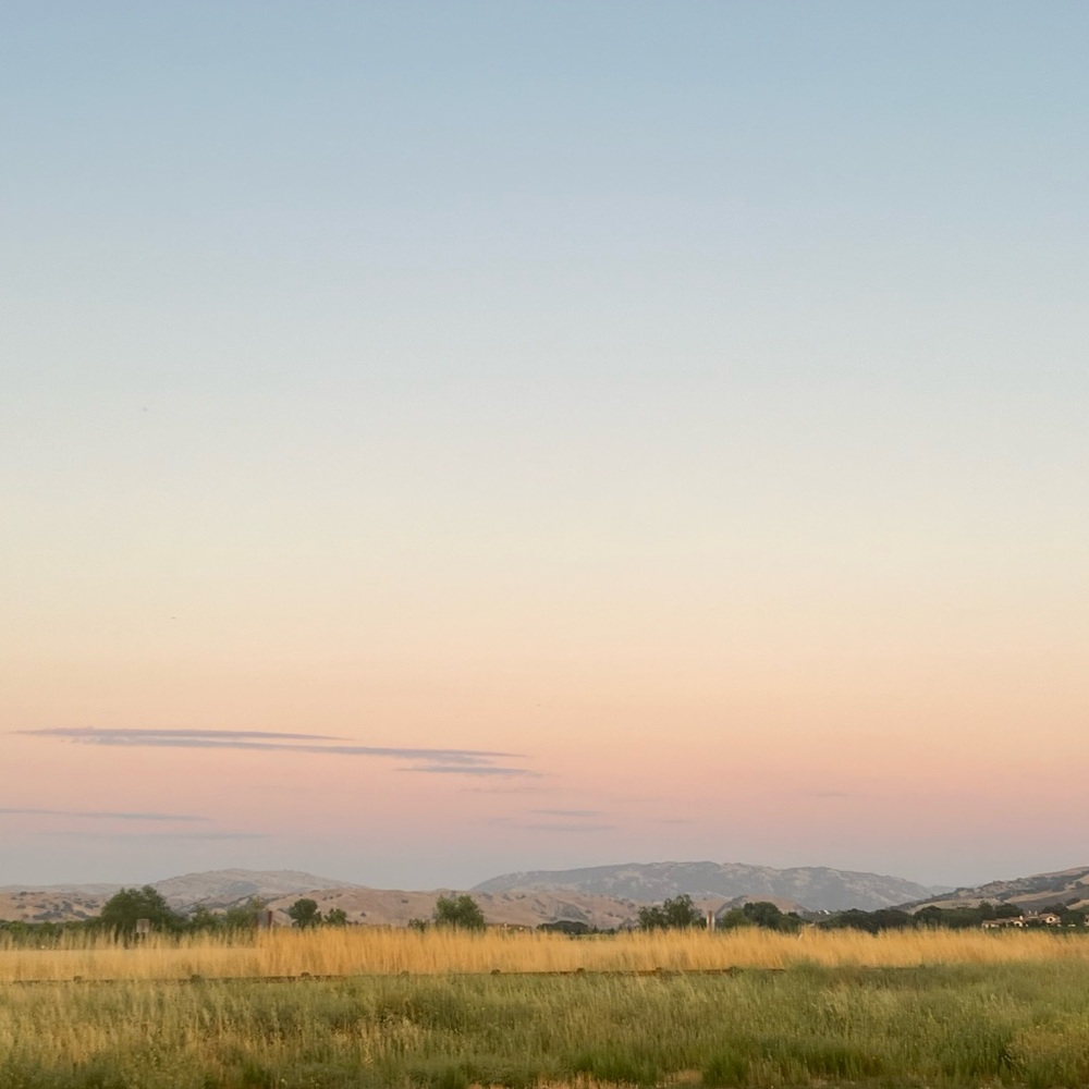 Meet your Posher, Ella